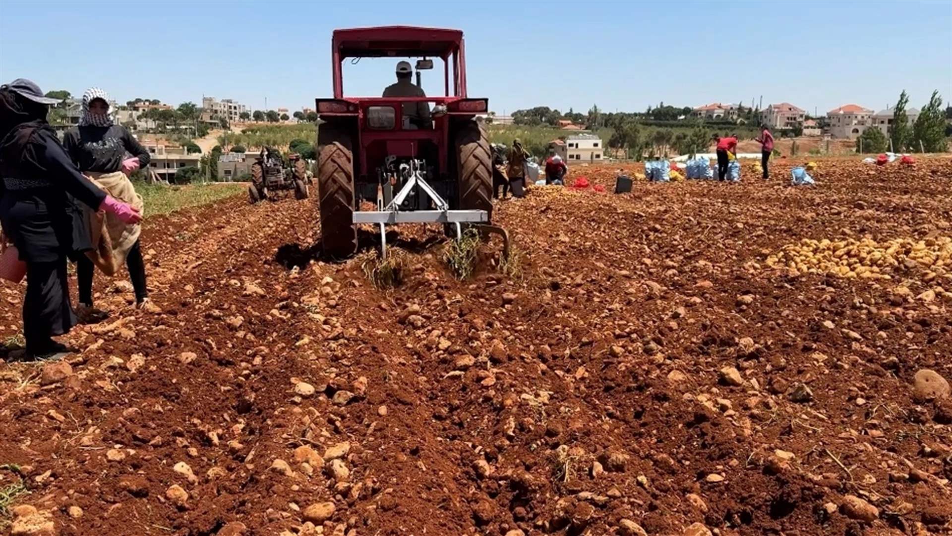 وزارة الزراعة: 22% من الأراضي الزراعية في لبنان تضررت والأمن الغذائي بخطر