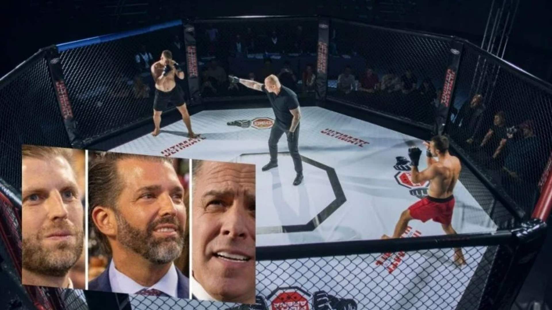 لخوض نزال في قفص... بايدن الابن يتحدّى نجلي ترامب بهذه الطريقة 