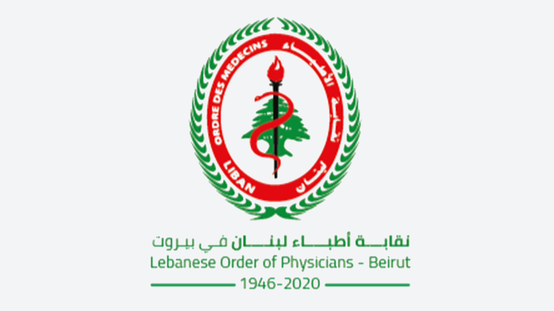 نقابة أطباء لبنان استنكرت المجازر بحق الأطباء والطواقم الإسعافية: للضغط على العدو لتحييد المدنيين والعاملين في الشأن الطبي