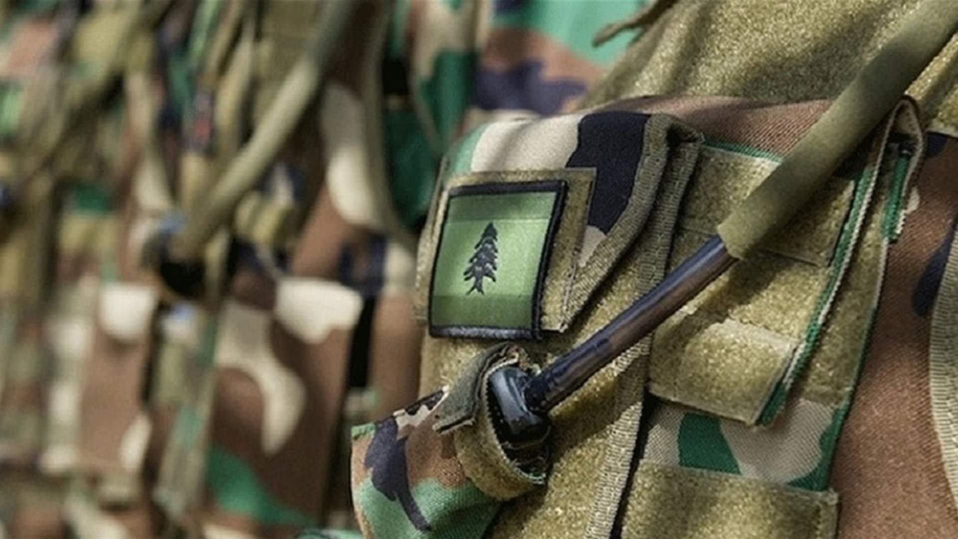 الجيش: توقيف شخص لتورّطه في إشكال فردي تخلله إطلاق نار