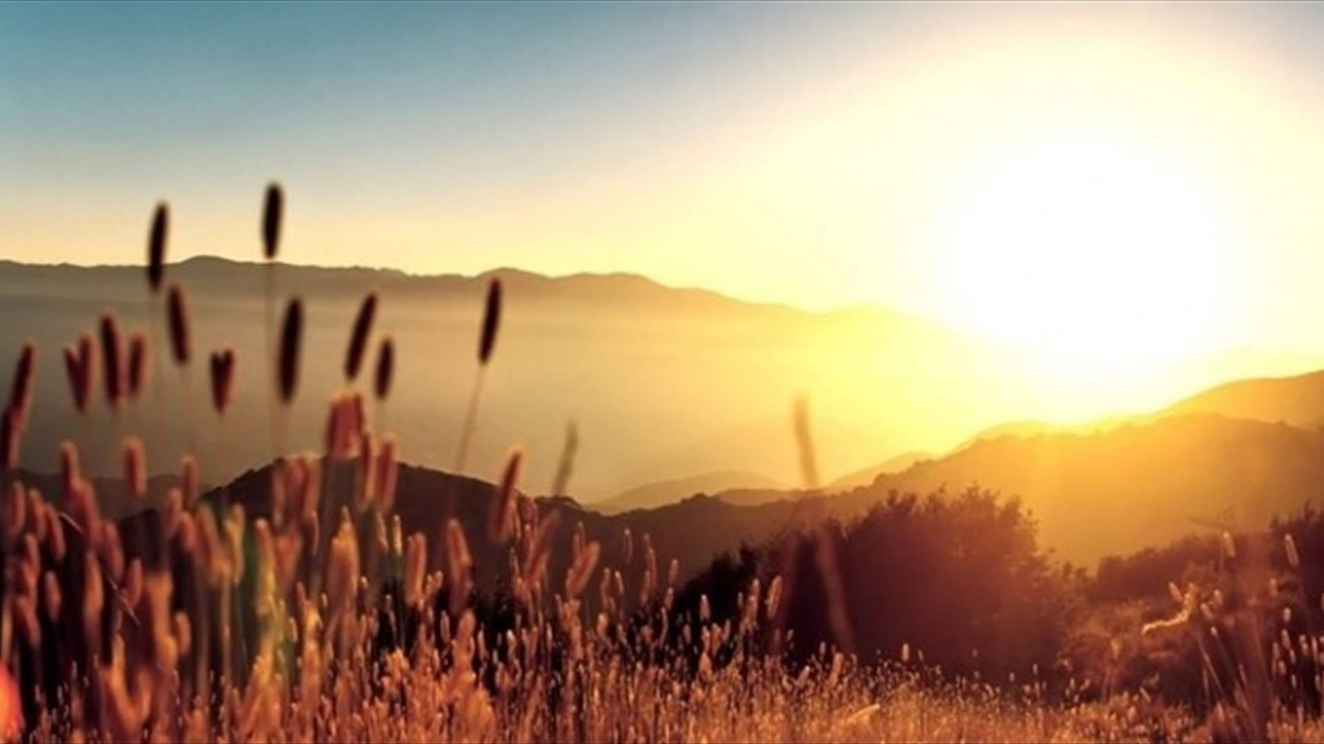 طقس دافئ ومغبر ... وأمطار موحلة