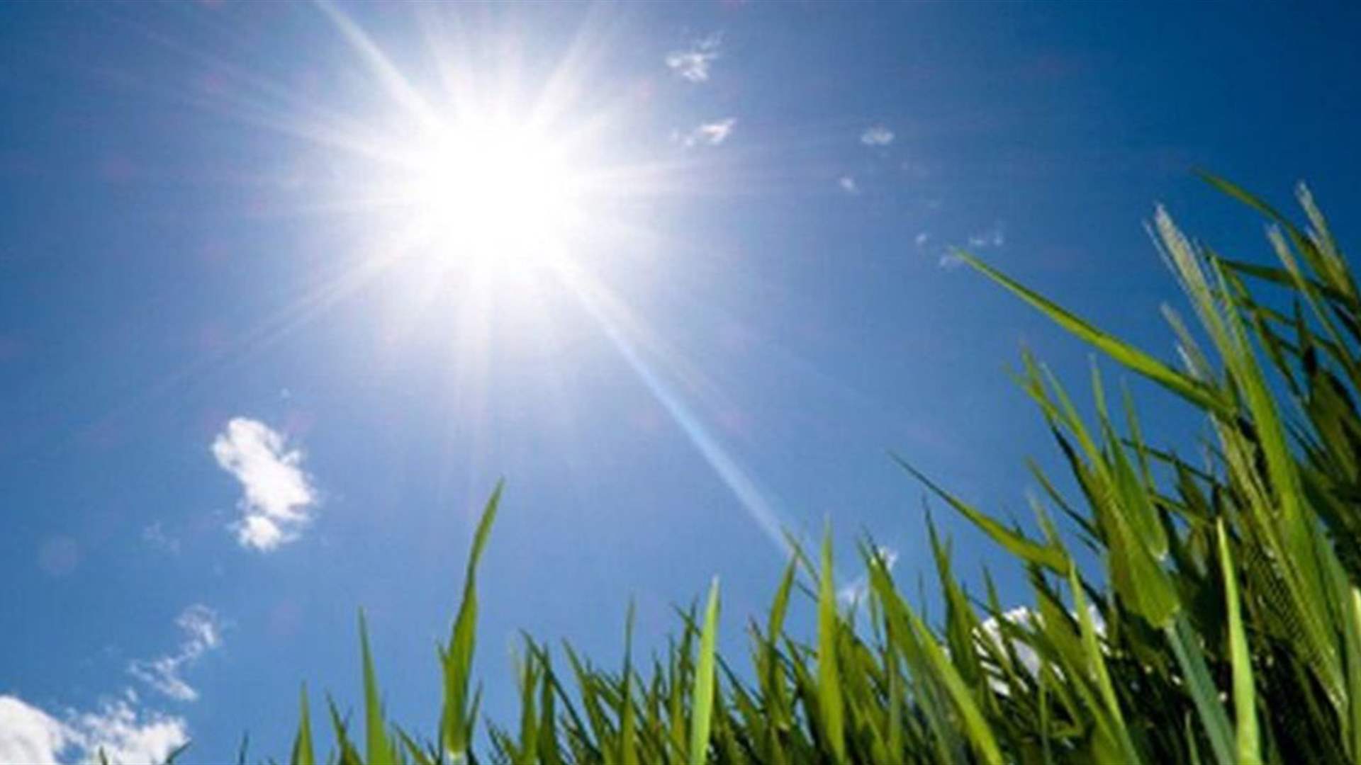 طقس حار اليوم وانخفاض الحرارة غدًا