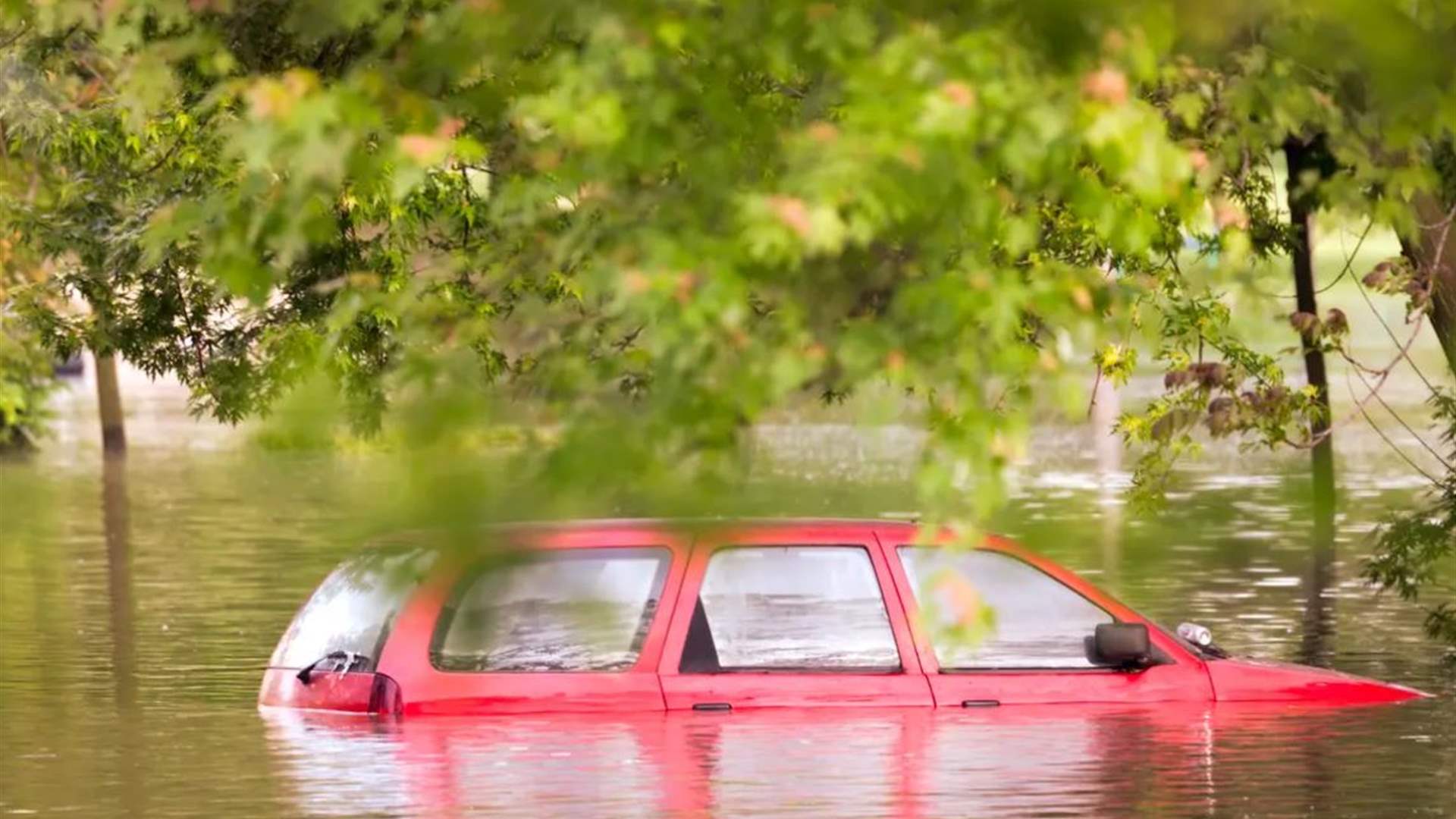 عواصف رعدية وأمطار غزيرة... سيول مفاجئة تضرب عاصمة نيوزيلندا