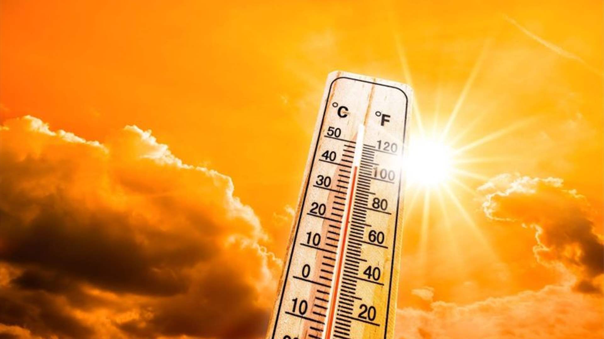 الأمم المتحدة: موجات الحر الشديدة تهدد النظم الغذائية العالمية