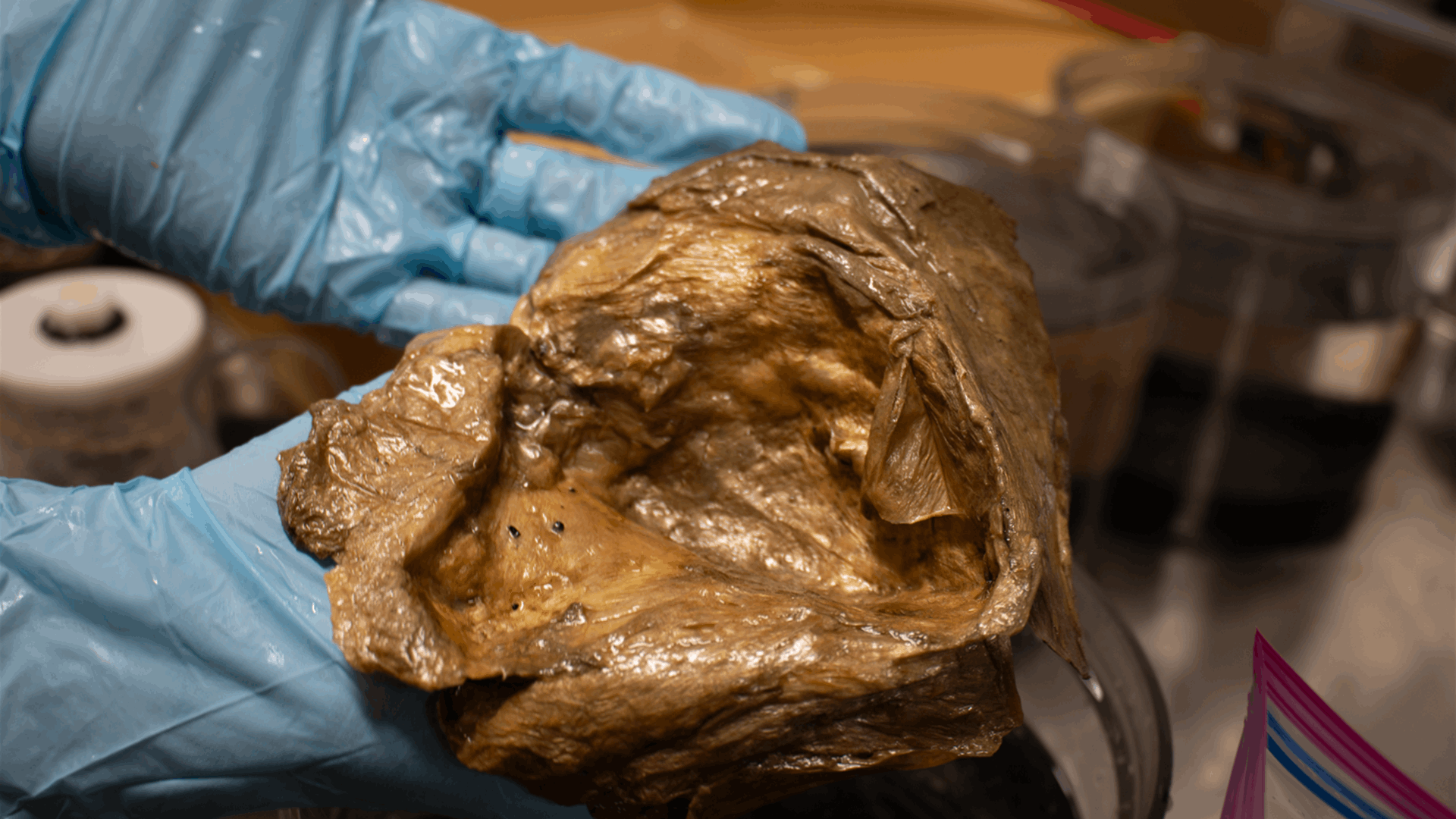 بعد سنوات... العلماء يحسمون لغز "الجسم الذهبي" الغامض في قاع بحر ألاسكا