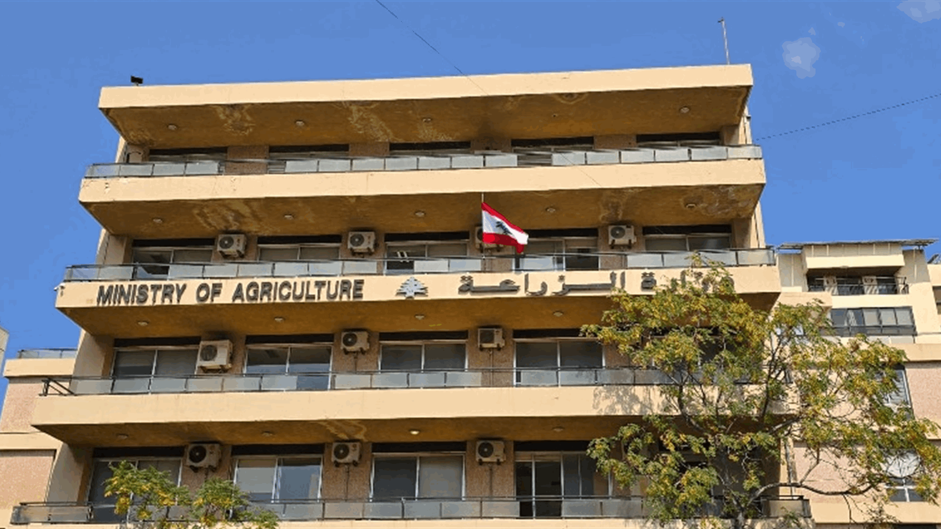 اجتماع بين وزارة التنمية الادارية ووزارة الزراعة بحث في رقمنة الخدمات وتطوير أداء وزارة الزراعة 