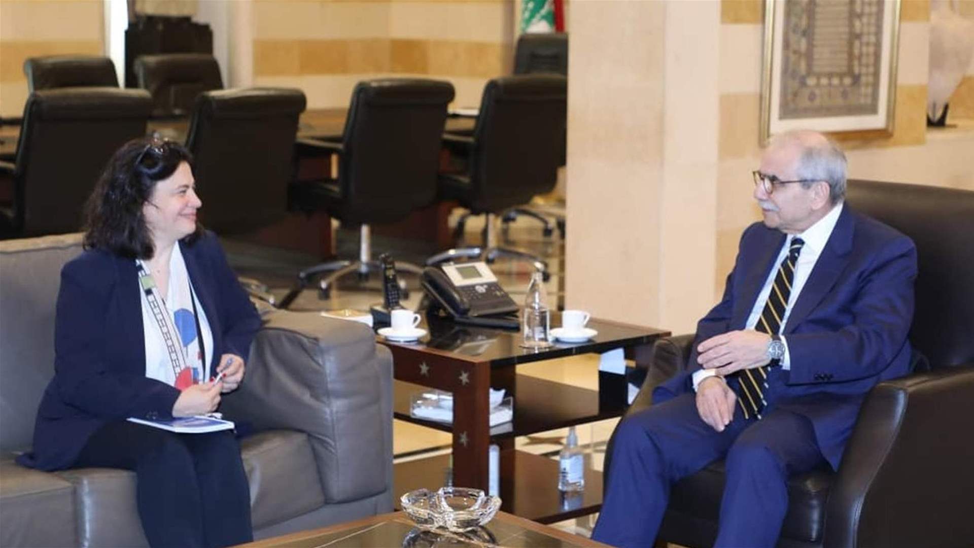 أليكو إلتقت سلام: الـUNDP مستعدة لإجراء دراسات بشأن إعادة الإعمار