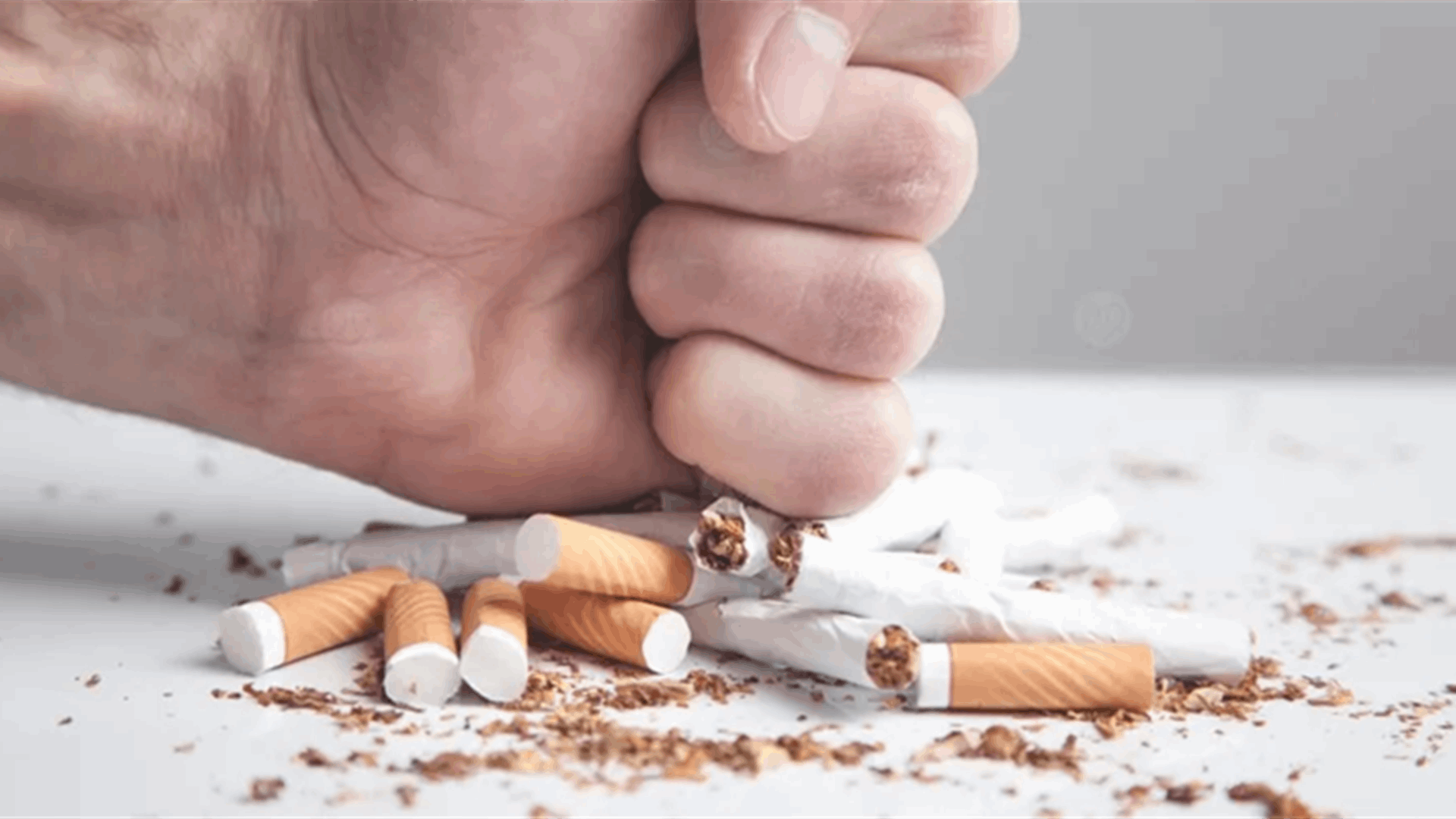 بعد الإقلاع عن التدخين: هل تتعافى الرئتان فعلاً؟... خبراء يكشفون الحقيقة الكاملة