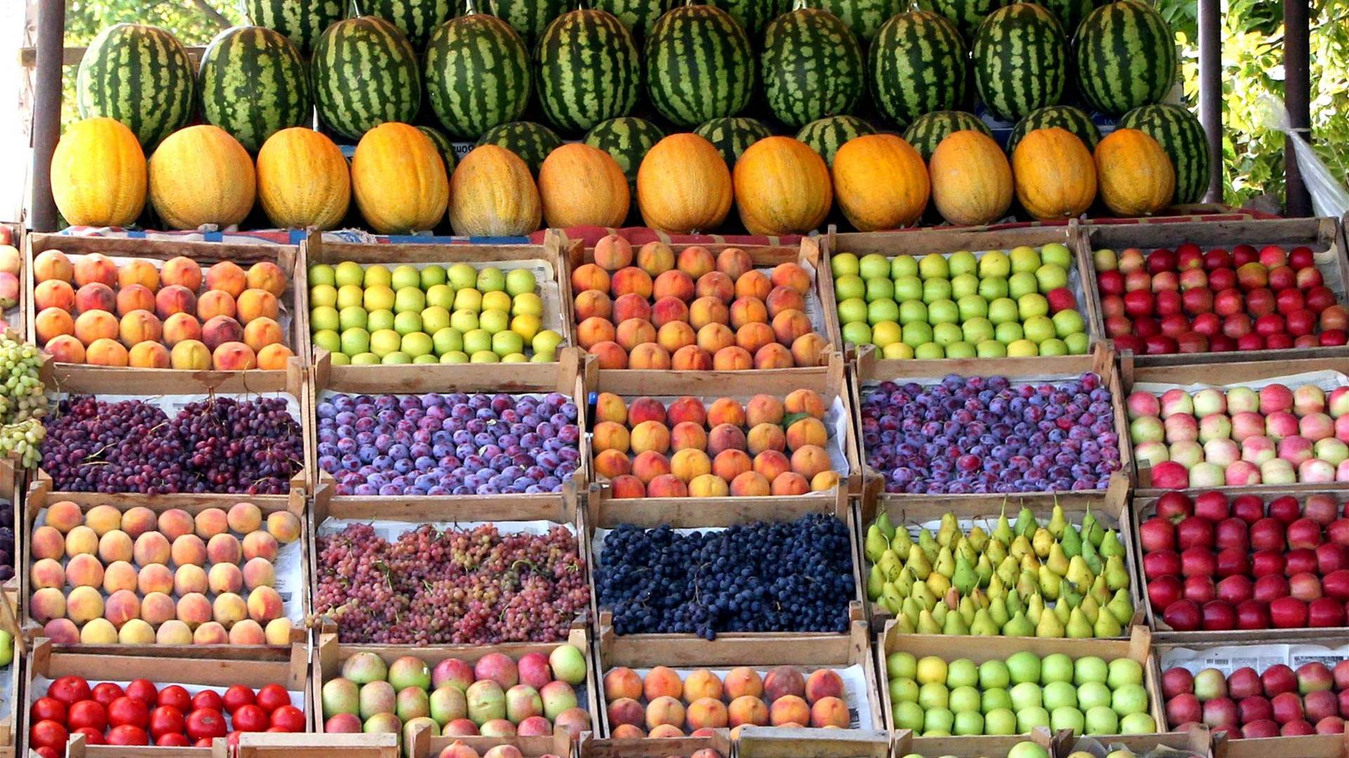 روسيا تمنع استيراد الفواكه والخضر من أرمينيا