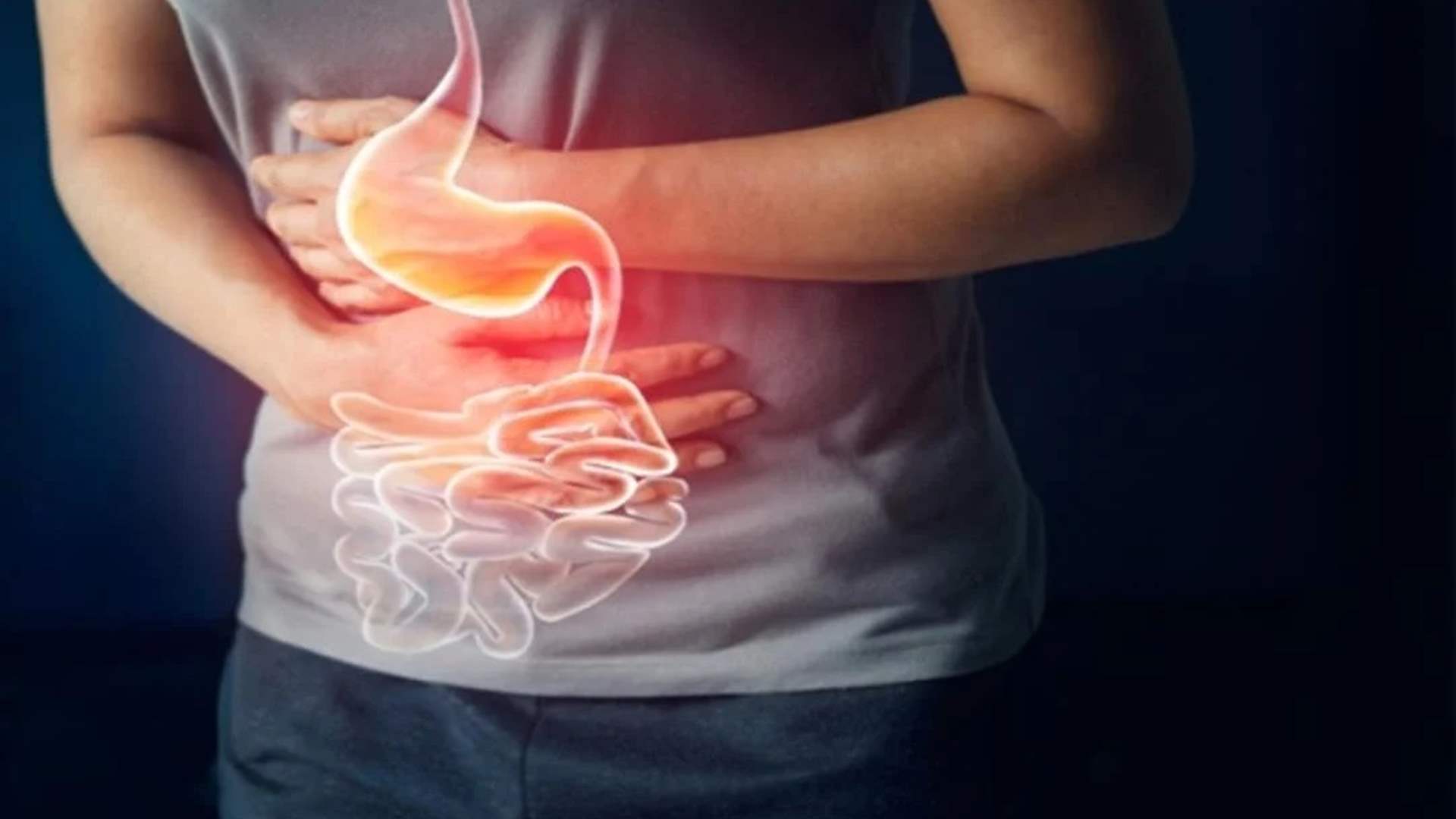 في اليوم العالمي لصحة الجهاز الهضمي... إليكم خطوات بسيطة لحماية الأمعاء من الأمراض