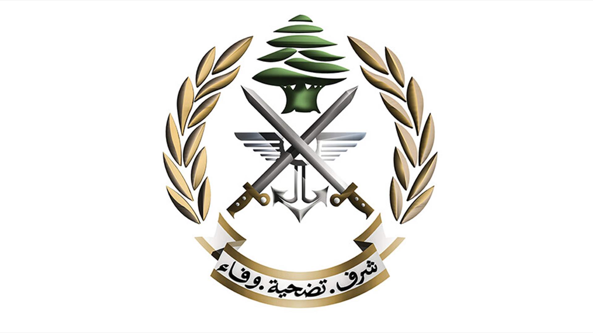 الجيش يوقف مواطنًا لارتكابه جرائم منها إطلاق نار على دورية للجيش