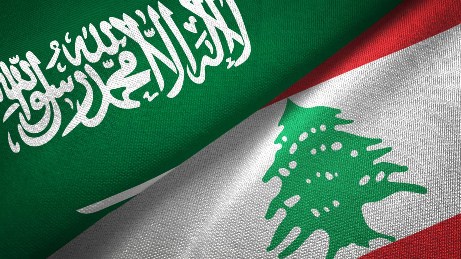 سفير لبنان لدى الرياض يلتقي رئيس مجلس الشورى السعودي