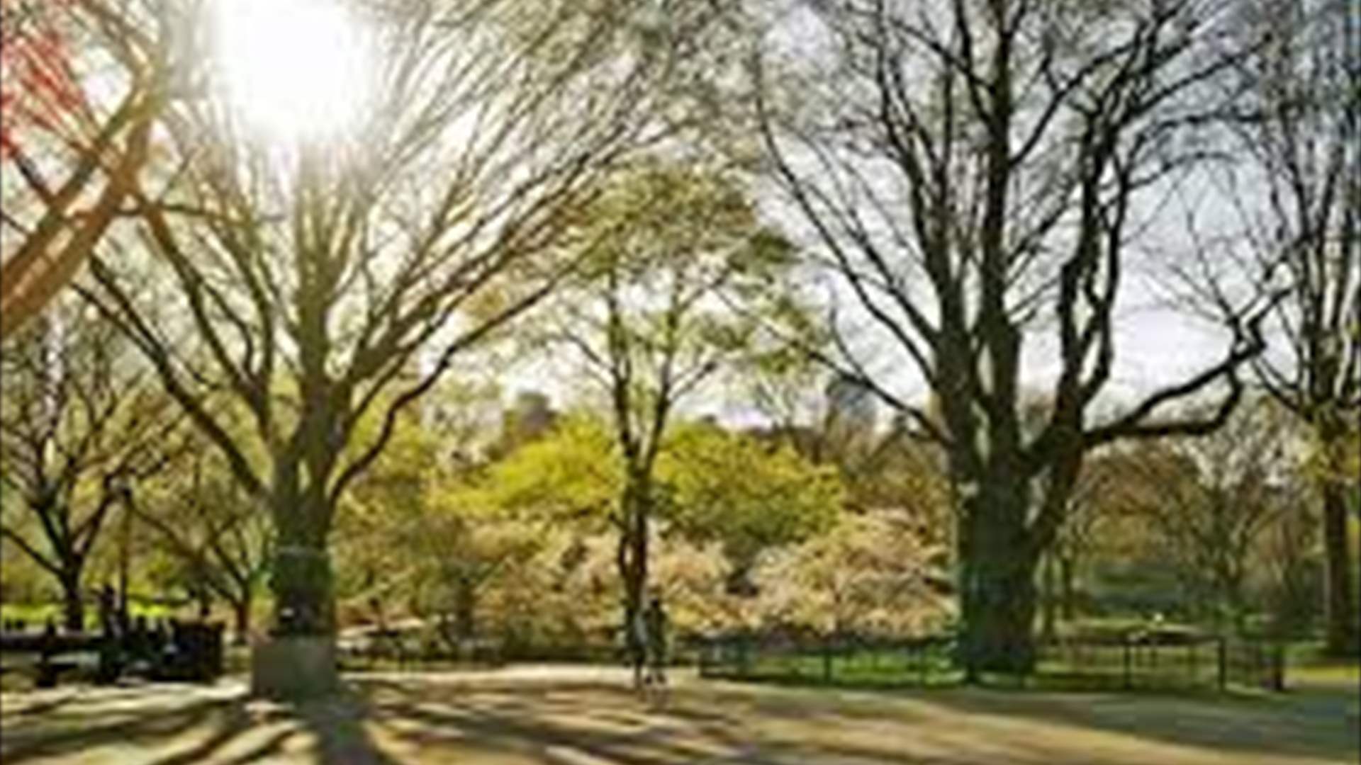 US experienced second-warmest spring on record: NOAA