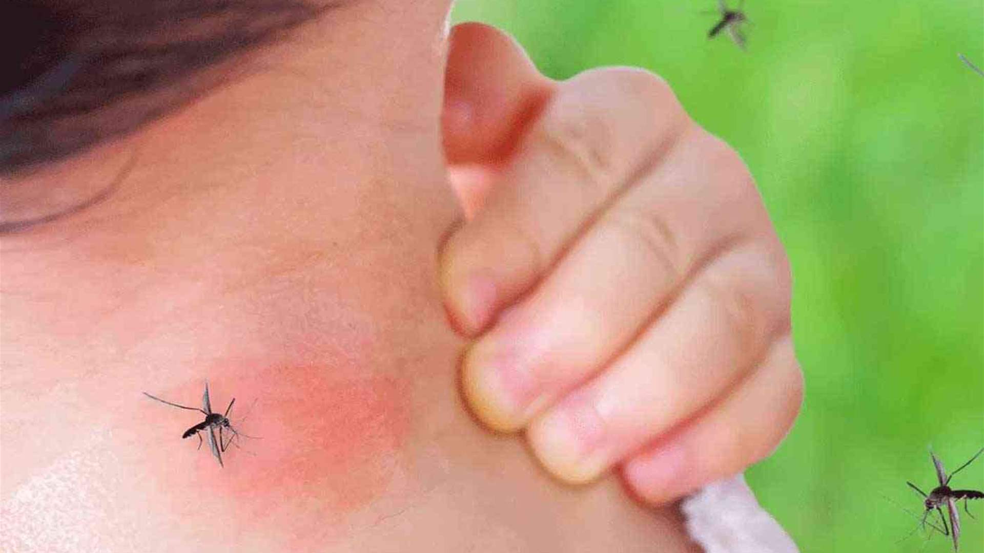 مع بداية الصيف… لماذا يختارك البعوض أكثر من غيرك؟