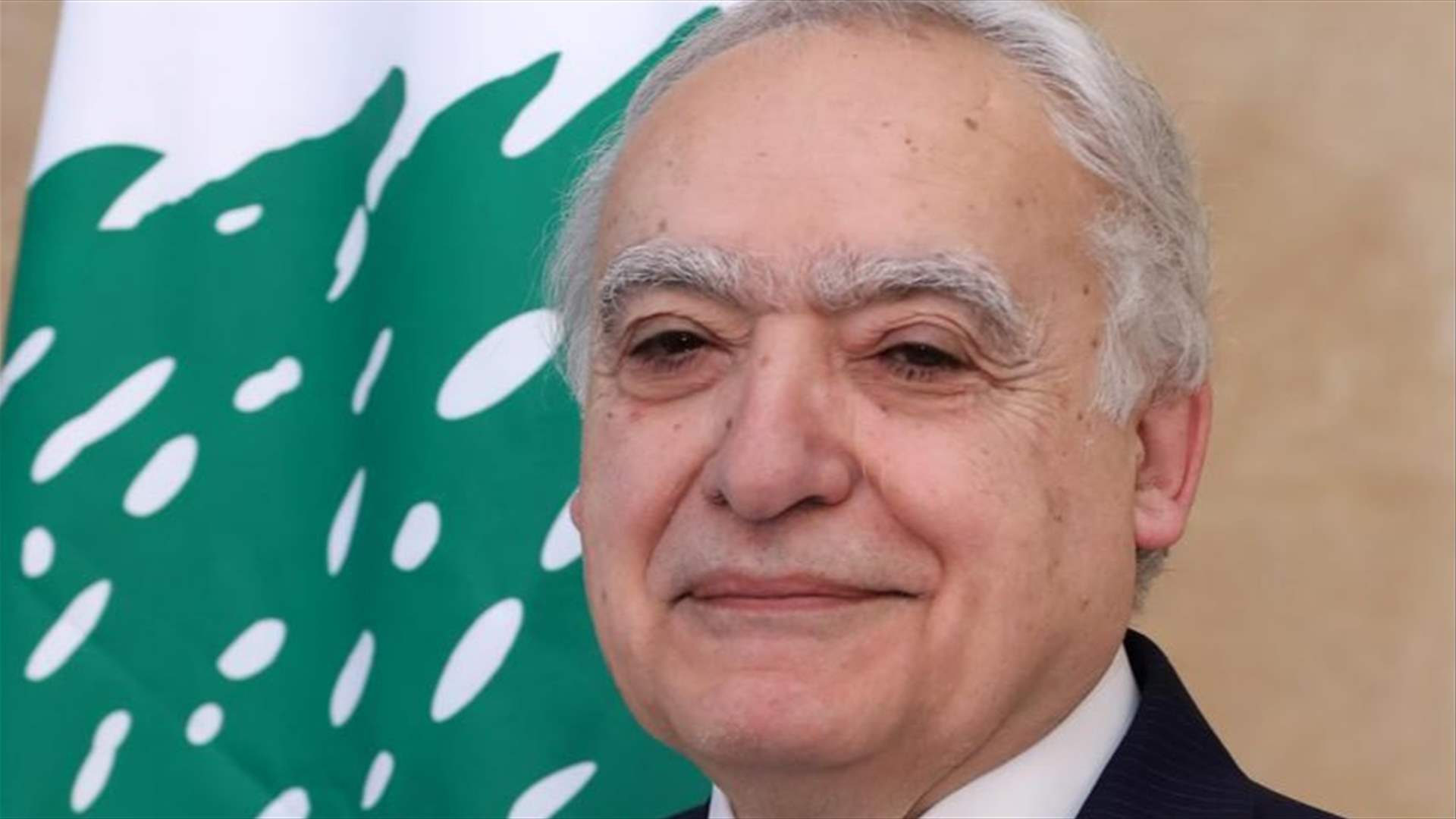 وزير الثقافة جال على المواقع الأثرية التي تعرضت لأضرار: حماية الآثار مسؤولية دولية مشتركة