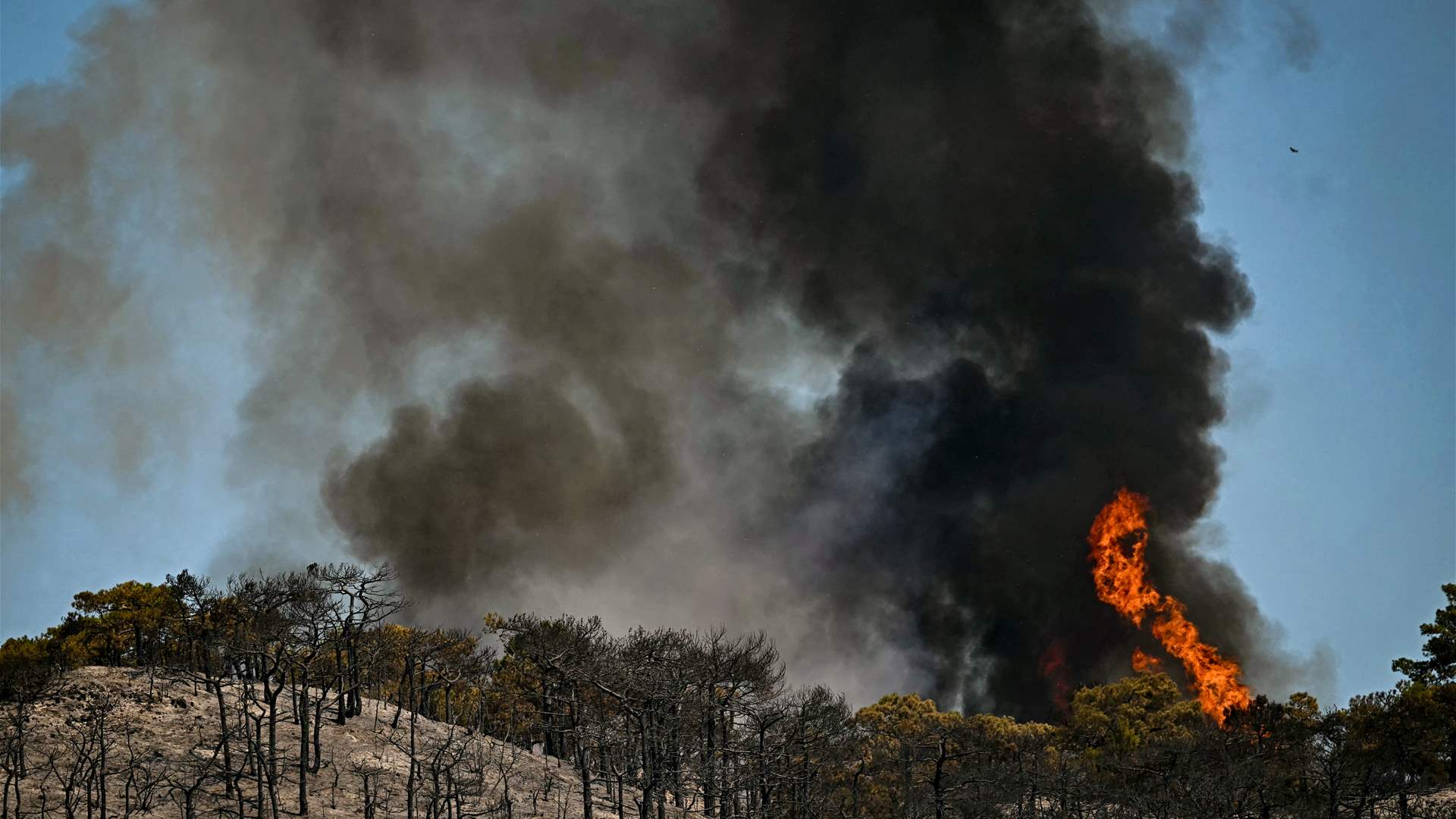 EU deploys four water-bombing planes to help fight French wildfires