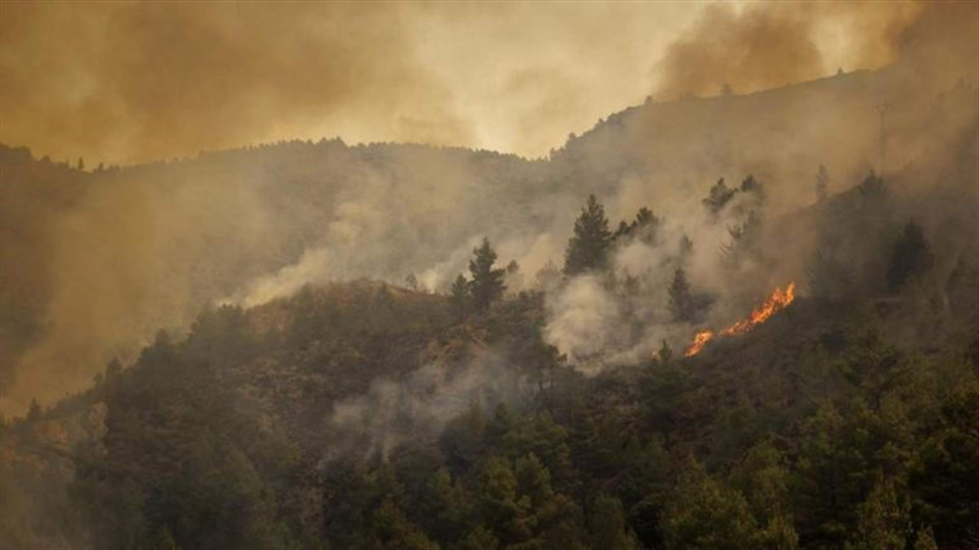 مقتل 12 شخصا في حرائق غابات في جنوب إسبانيا