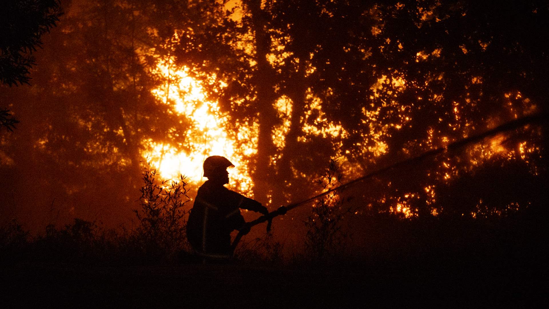Some 40,000 people evacuated due to wildfire in southwest France: AFP