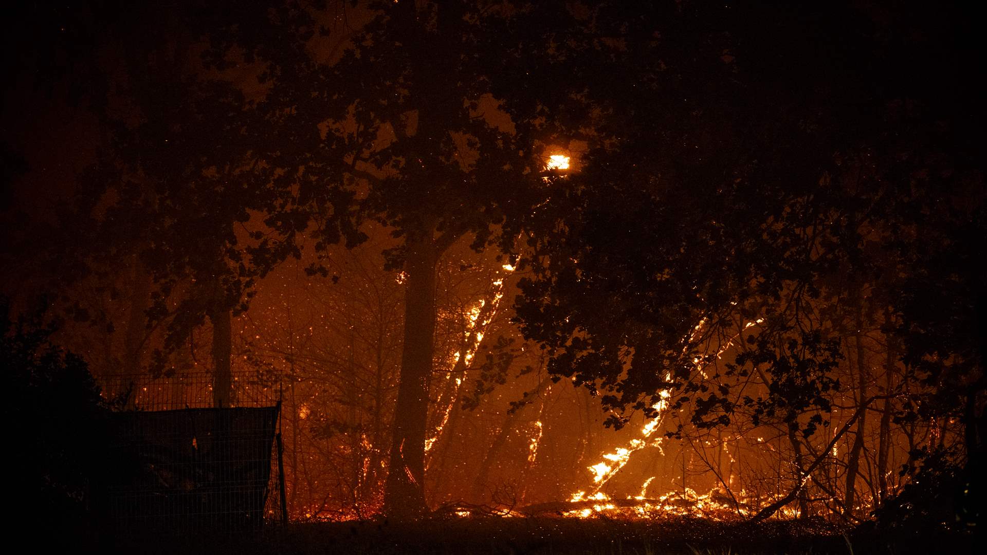 19,000 people evacuated or confined due to Madrid wildfires