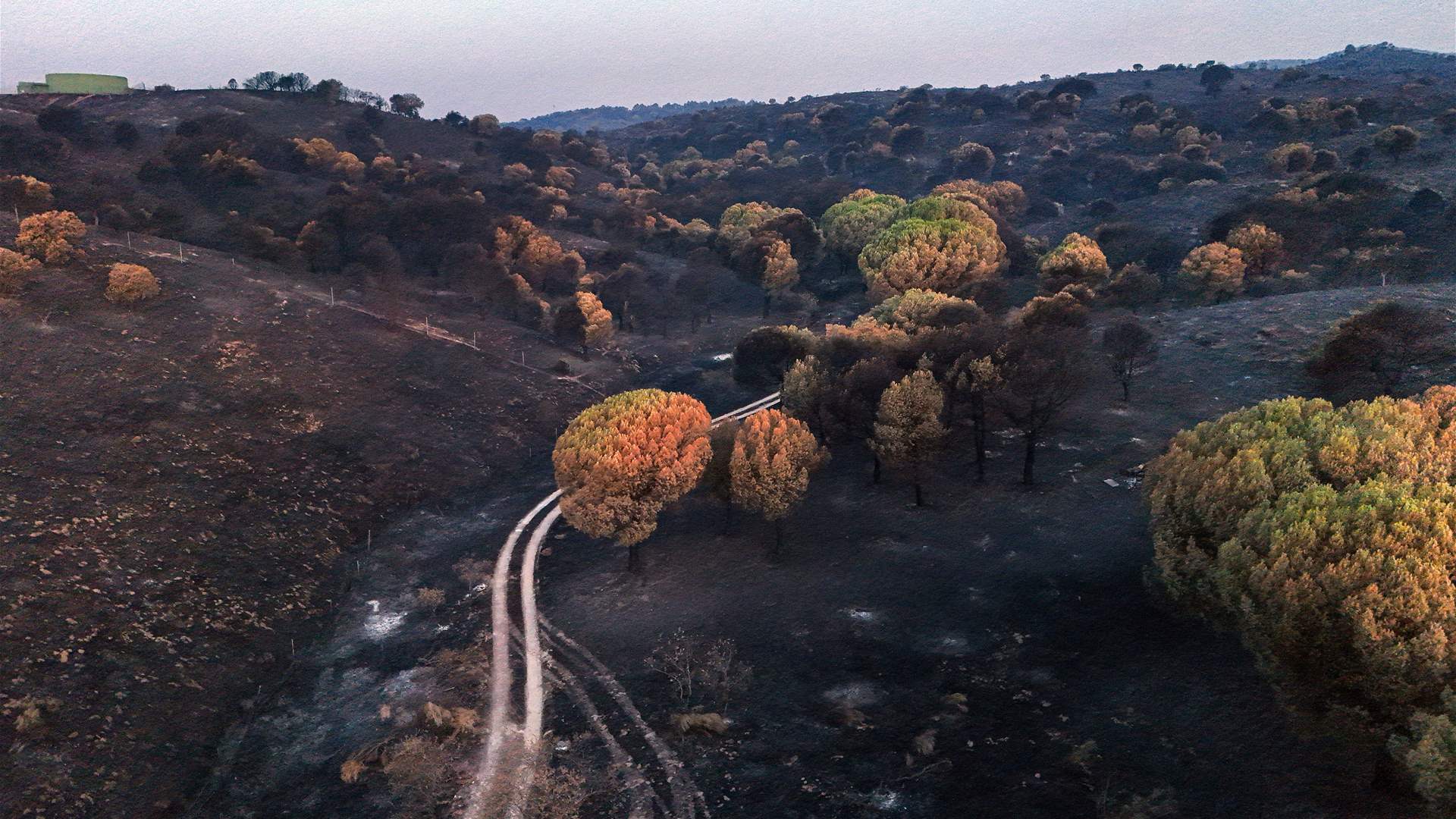 Spain PM ends national emergency over Madrid region wildfires