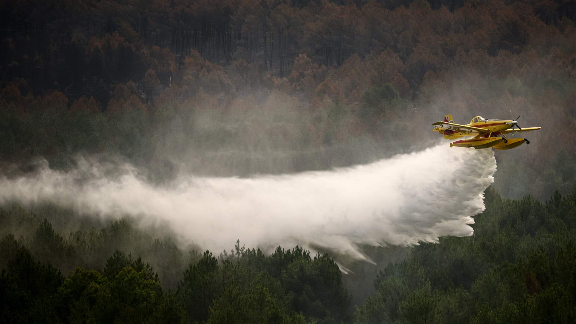 France's largest wildfire in decades 'under control'