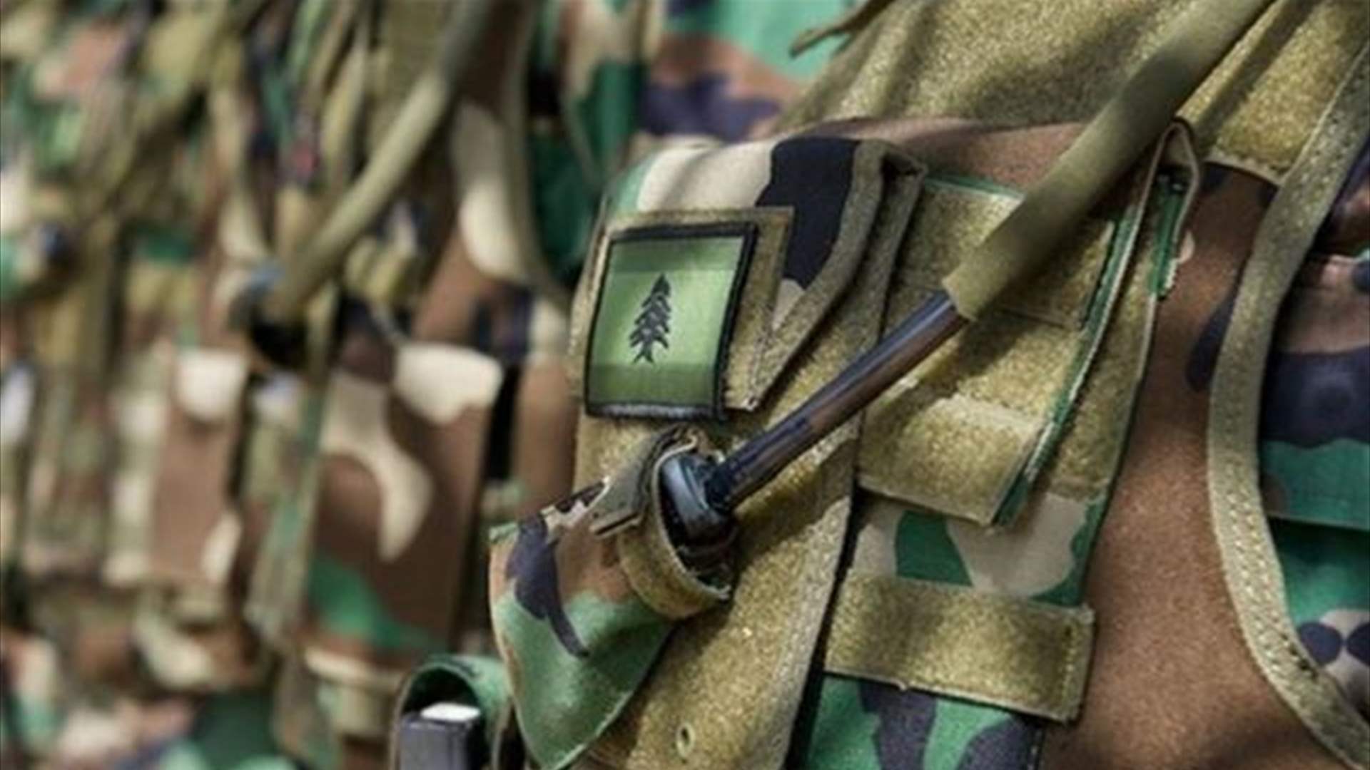 الجيش يوقف 20 شخصًا ويضبط أسلحة وذخائر حربية