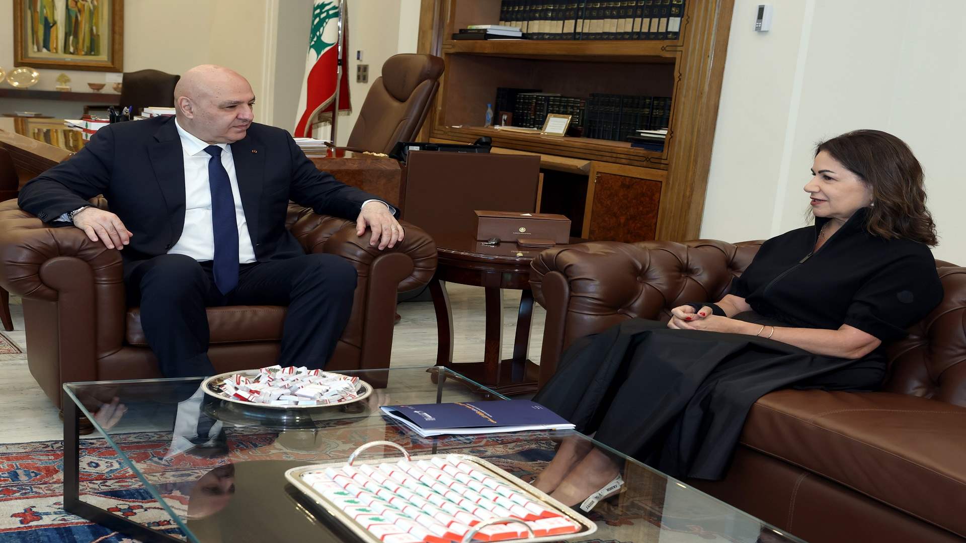 Social Affairs minister briefs President Aoun on plan for return, early recovery in war-affected areas