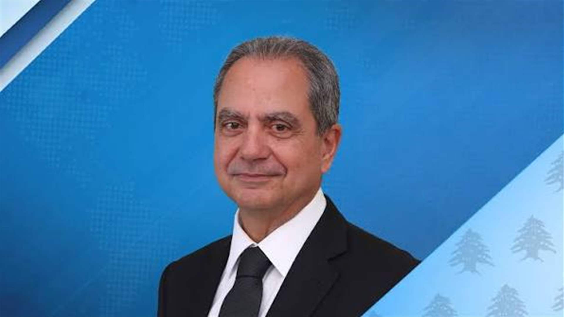 صدي: التوجه نحو توزيع الكهرباء في لبنان وفق نموذج لامركزي شبيه بتجربة زحلة