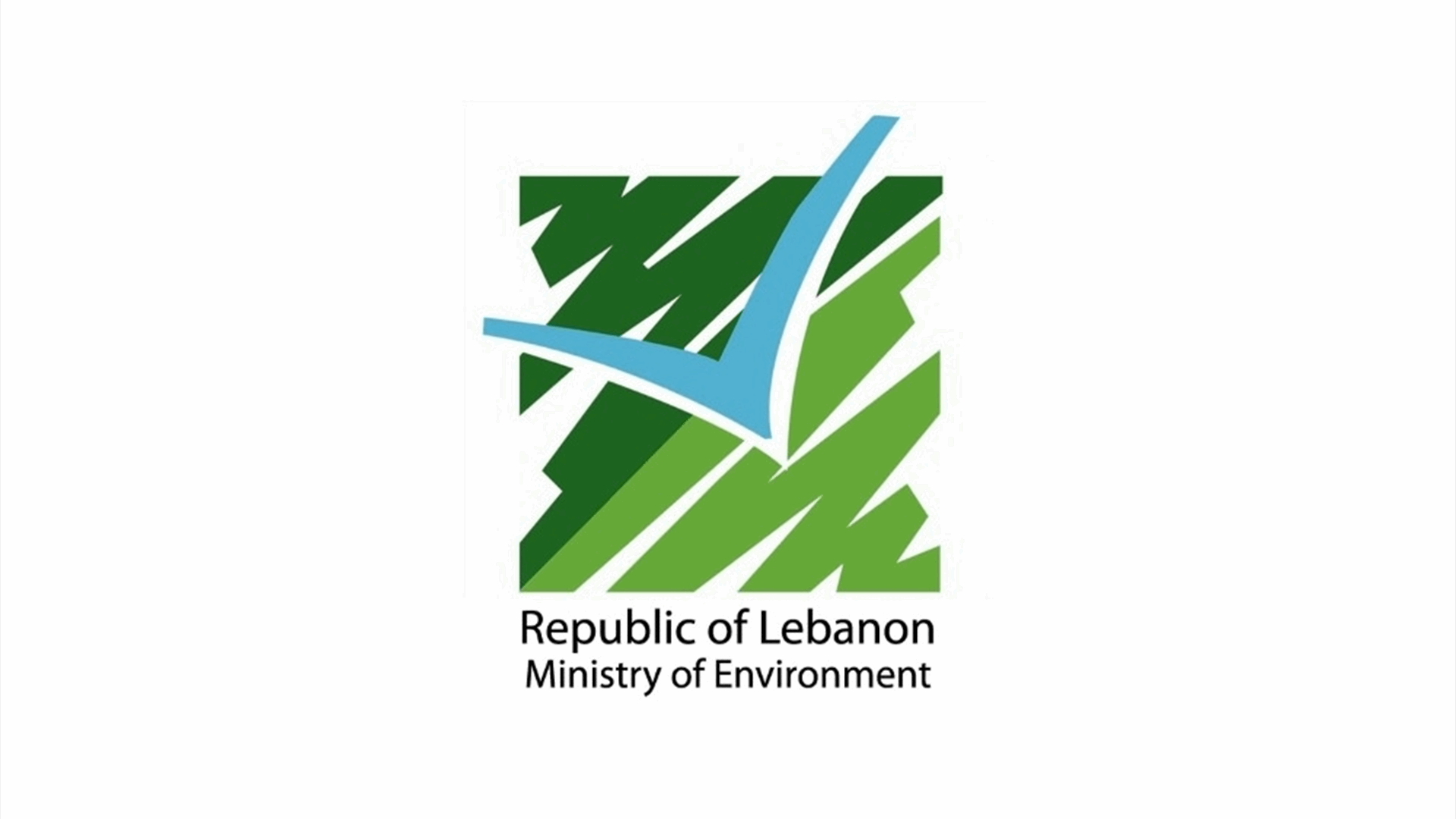 بيان توضيحي لوزارة البيئة بشأن المواد الكيميائية الموجودة في معملي الزوق والجية والعائدة إلى "كهرباء لبنان"