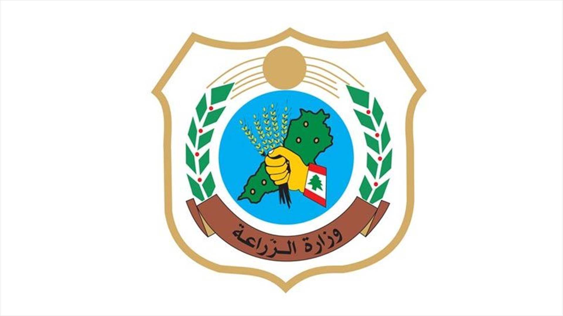 توضيح لوزارة الزراعة بشأن ظاهرة نفوق الأسماك الصغيرة على بعض الشواطئ