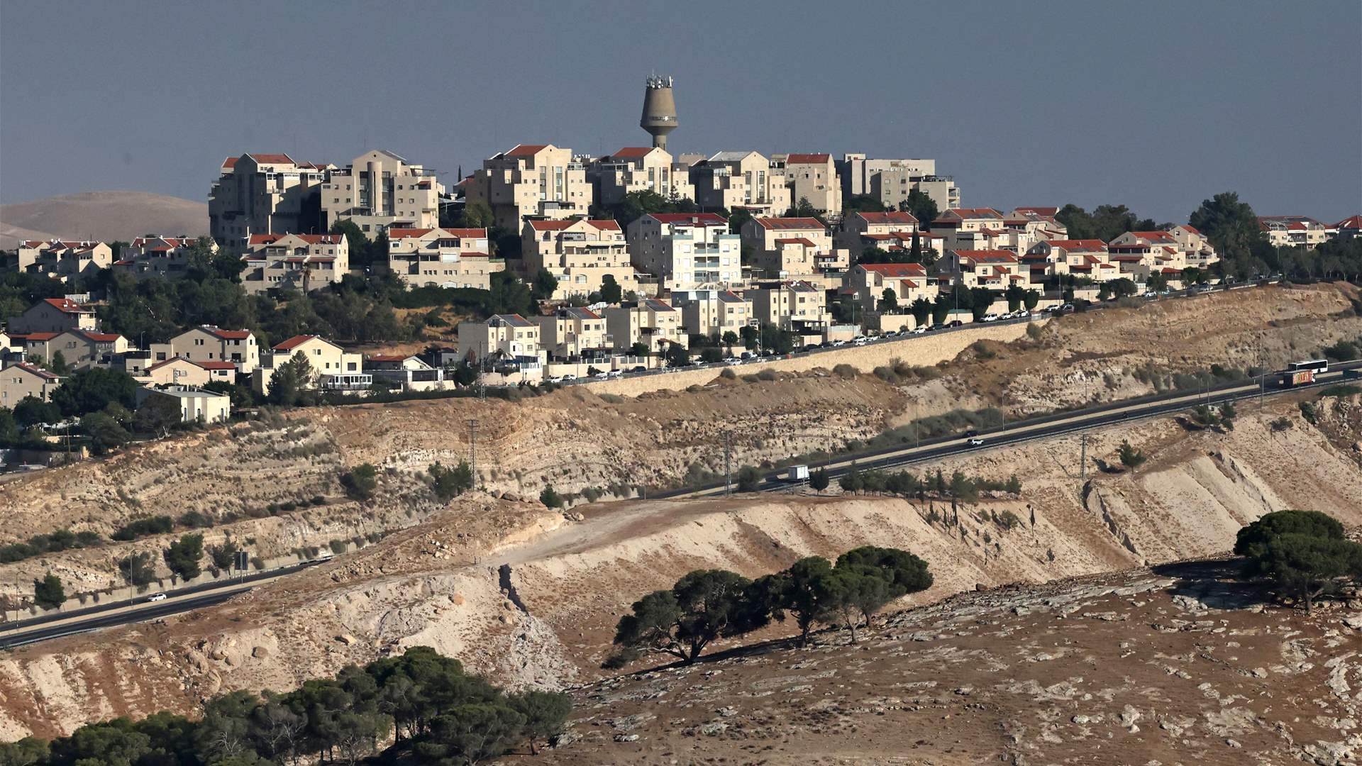 Arab, Muslim nations welcome UK-led sanctions on Israeli settlements