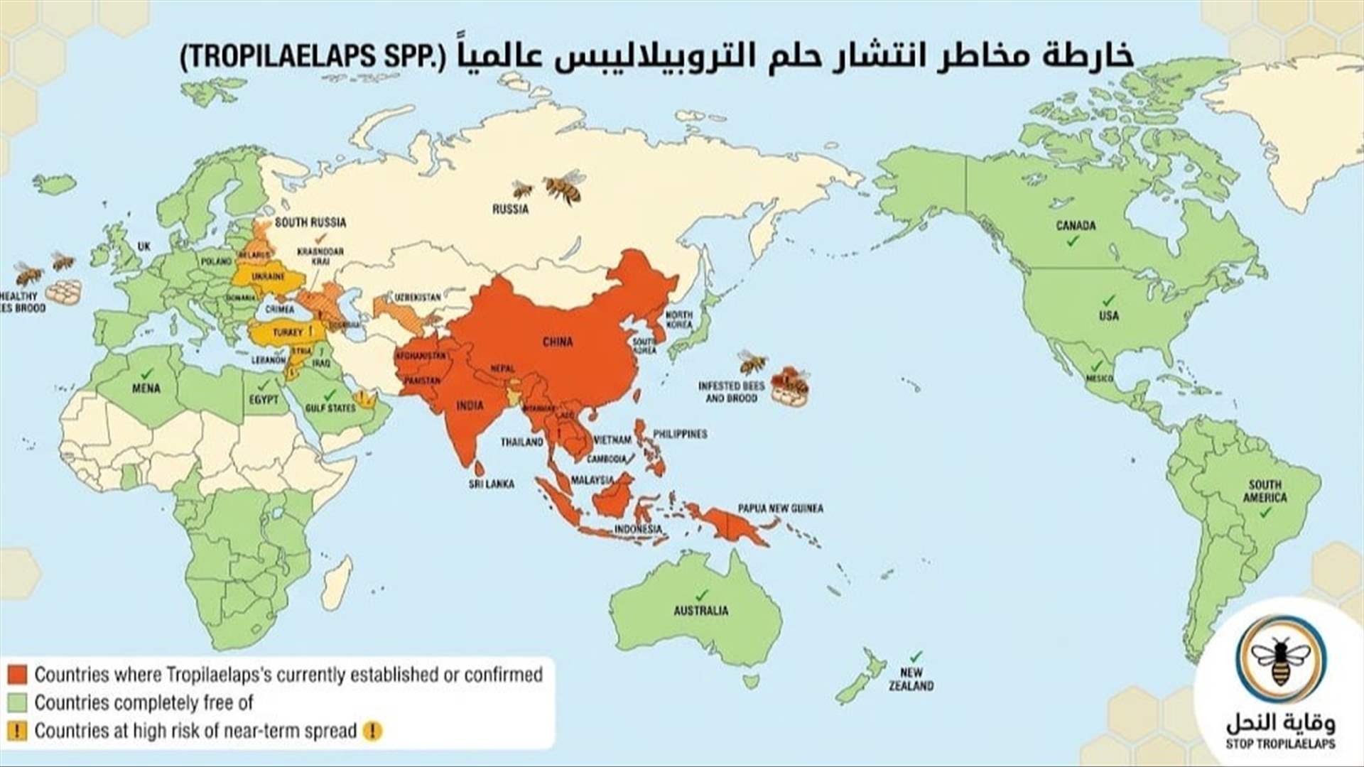 وزارة الزراعة: إجراءات وقائية للمحافظة على استدامة قطاع تربية النحل ومنع انتشار آفة التروبيلايلبس