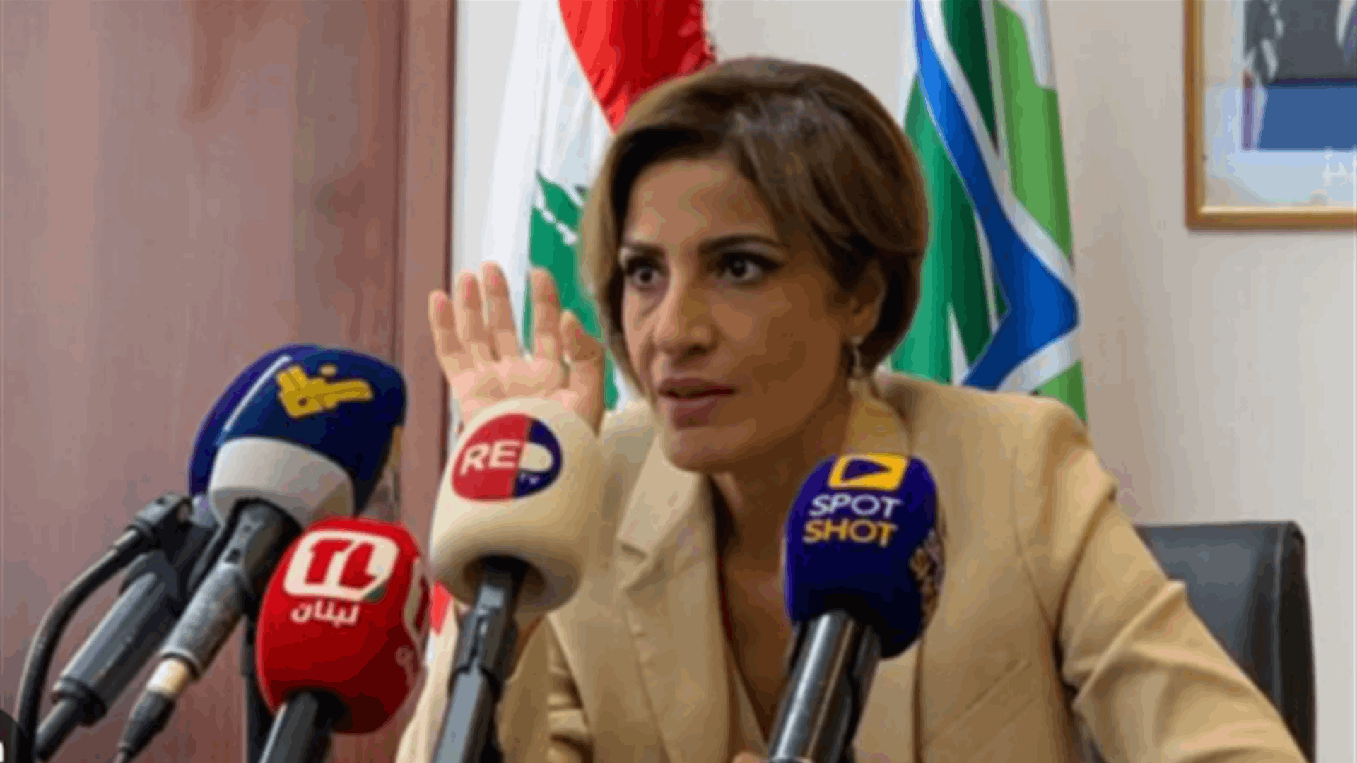 الوزيرة الزين أمام بعثة مكتب الأمم المتحدة لحقوق الإنسان: ما يتعرض له لبنان جراء العدوان الإسرائيلي يرقى الى توصيف الإبادة البيئية
