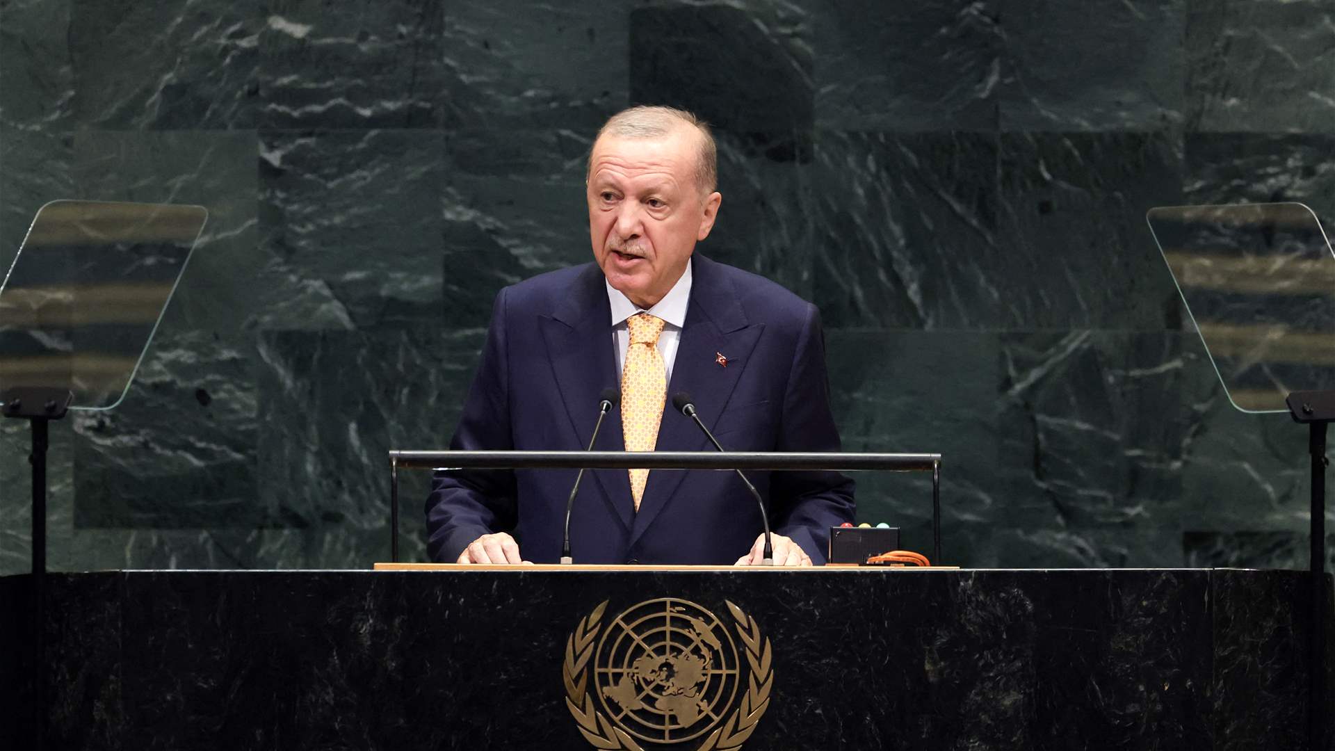 Attacks on Black Sea commercial ships 'unacceptable': Erdogan