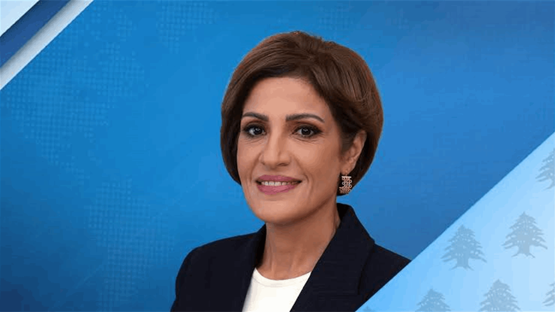 الزين من الشوف: مواجهة حرائق الغابات تبدأ بالوقاية لا عند وصول فرق الإطفاء