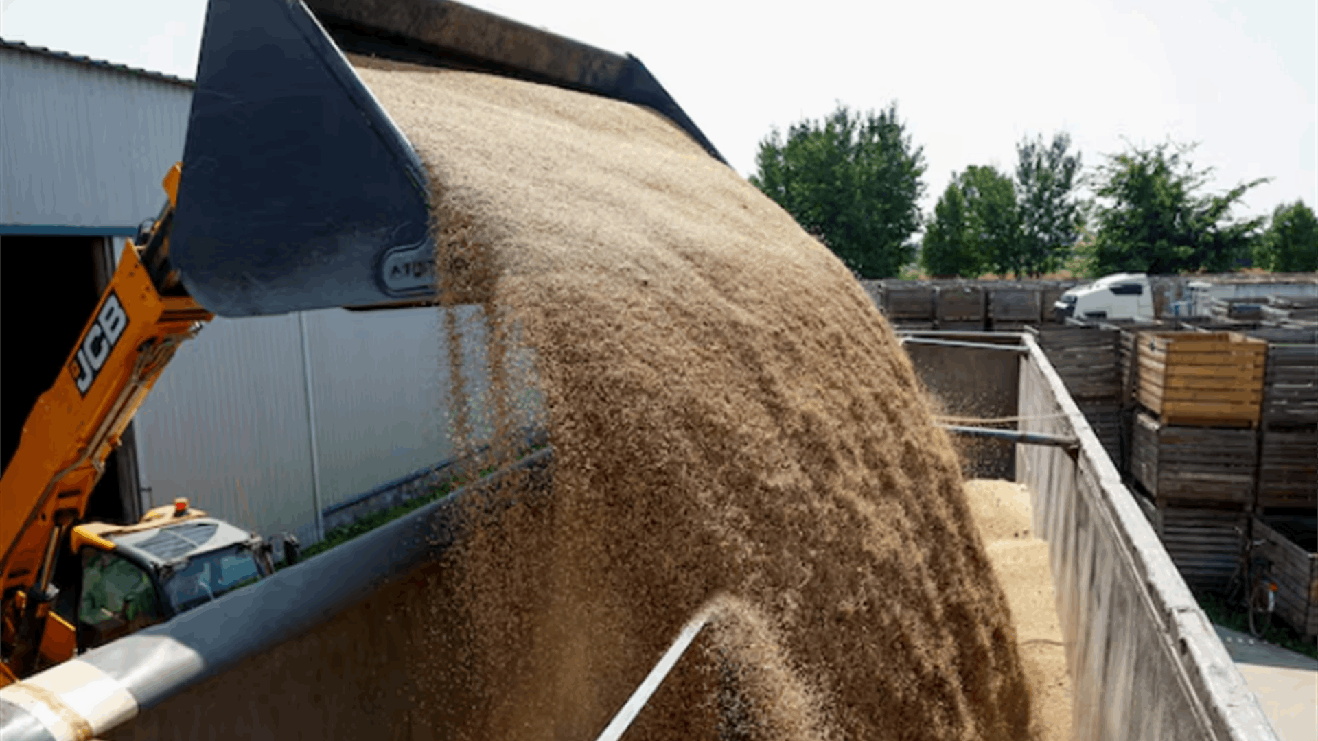 World food prices near four-year high in September: UN
