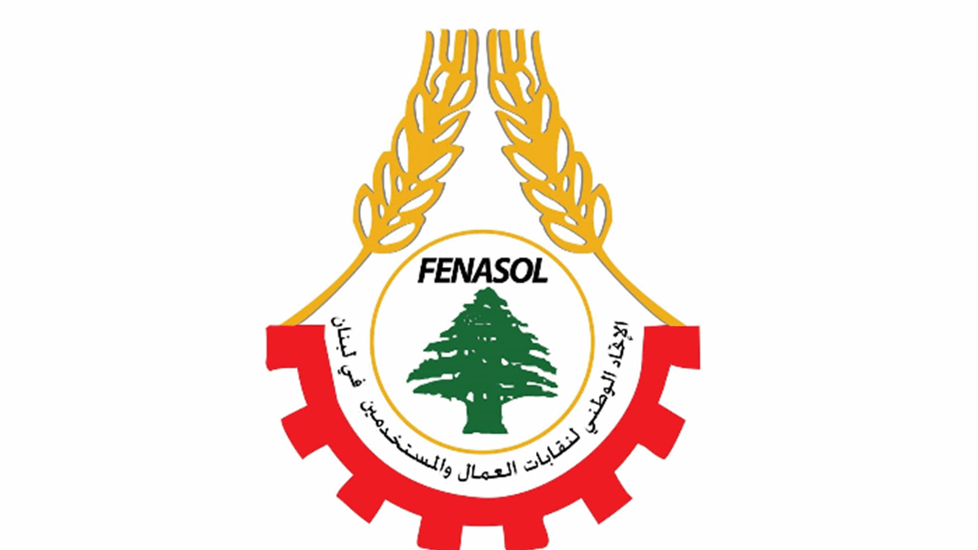 اتحاد نقابات العمال تلقى رسالة من الامينة العامة للشغل الفرنسية تؤكد استمرار وقوف الكونفدرالية إلى جانب عمال لبنان ونقاباتهم