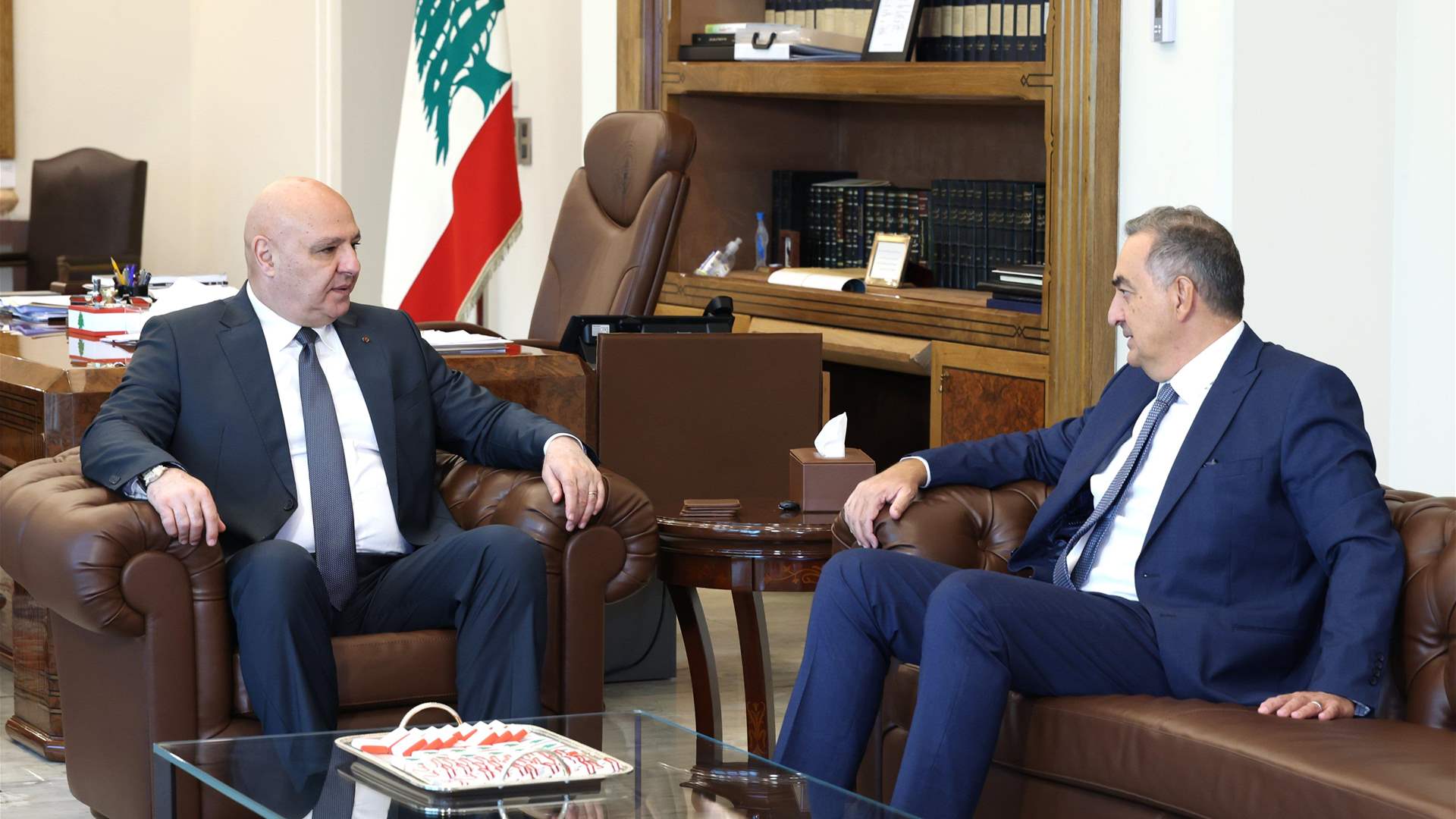 الرئيس عون يطّلع من كمال حايك على أوضاع مؤسسة كهرباء لبنان وحاجات معامل الإنتاج