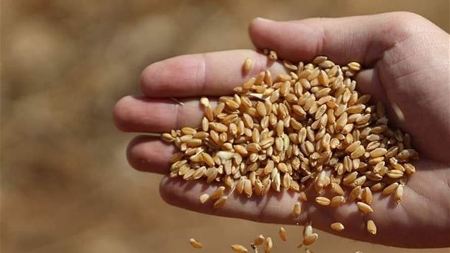 قرار لوزير الاقتصاد: موافقة مسبقة من مديرية الحبوب والشمندر السكري لإجازة استيراد دقيق القمح