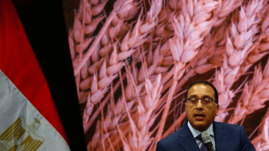 Egypt poised to announce detailed plan for state stake sales