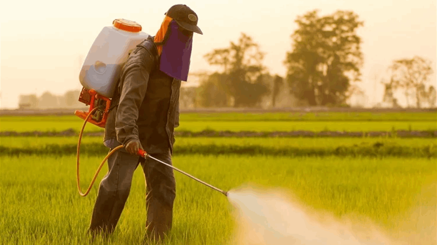 المفوضية الأوروبية تعلن تخفيض الحدود المسموح بها لرواسب مبيدات حشرية في الأطعمة