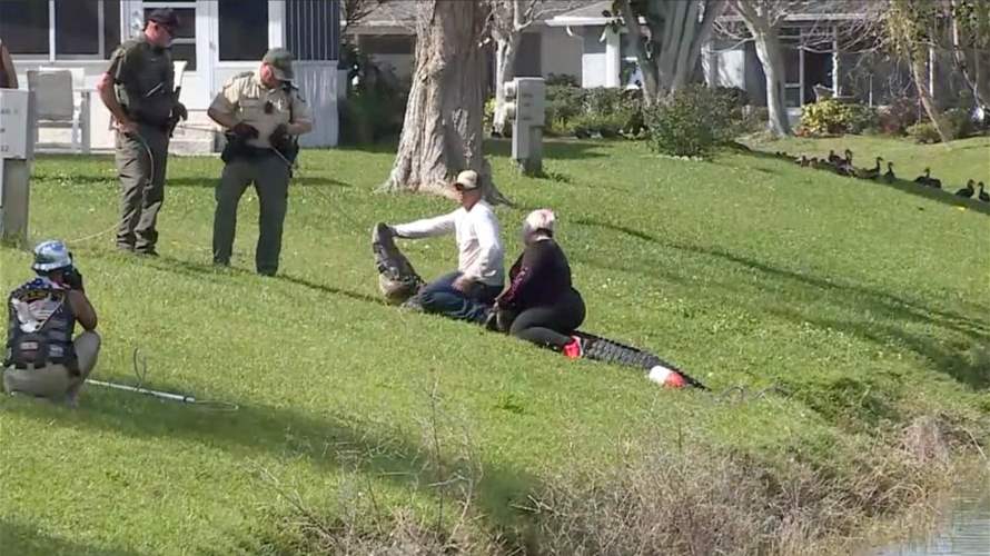 حاولت إنقاذ كلبها... مقتل مسنة إثر تعرضها لهجوم من تمساح في فلوريدا