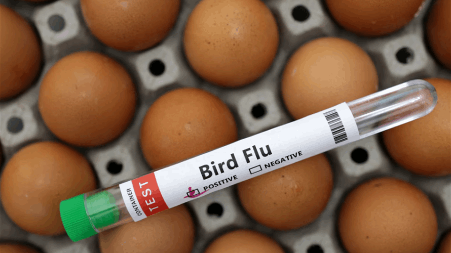 Bird flu situation 'worrying', WHO working with Cambodia