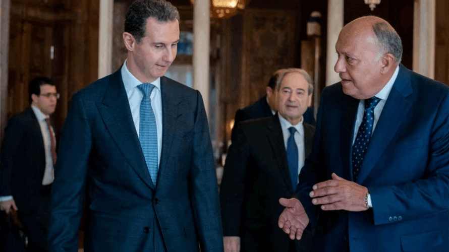 Egypt's foreign minister breaks ice with visits to Syria and Turkey