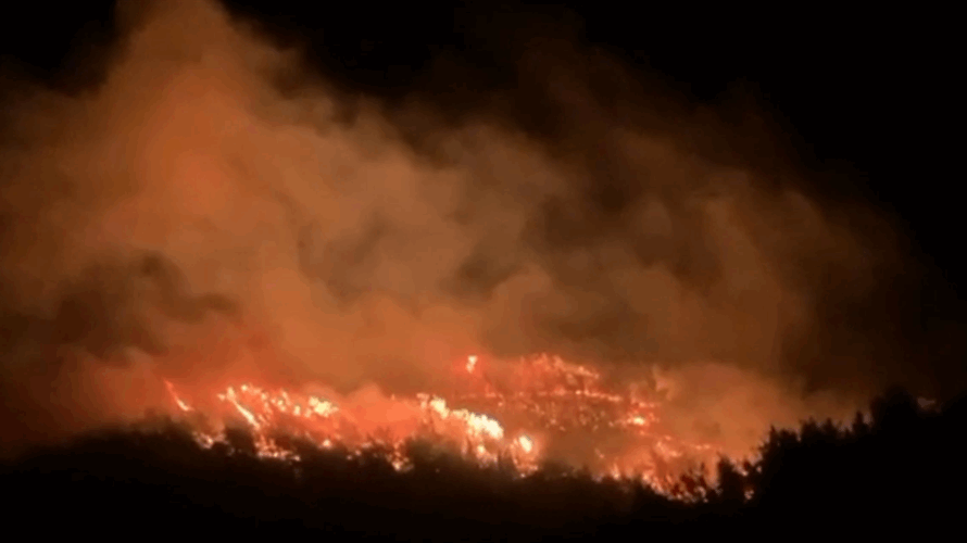 حريق كبير داخل حرش في بلدة بطرماز قضاء الضنية (فيديو)