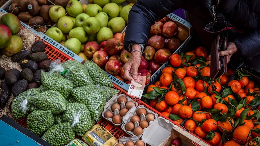 Euro zone producer prices fall due to energy, as other goods rise