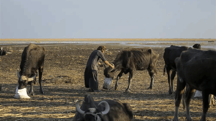 Iraqi PM promises action to tackle crippling climate change 