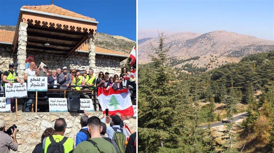 Increase in violations in Lebanon's Shouf Cedar Reserve sparks conservation efforts