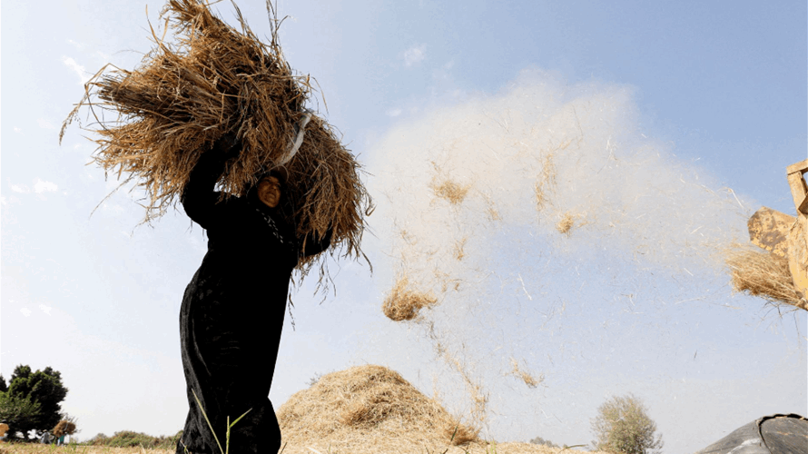 Egypt asset sales face obstacles as state maintains grip