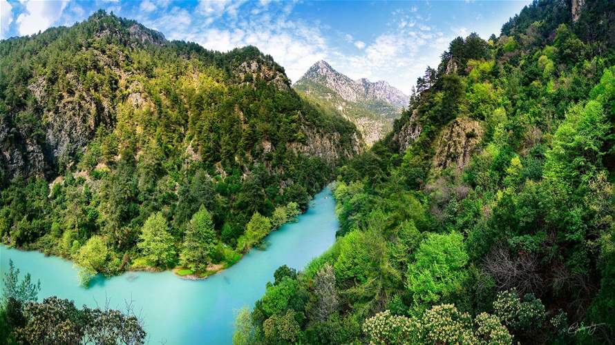 Lebanon hosts 98 protected areas, representing more than 20% of its area 